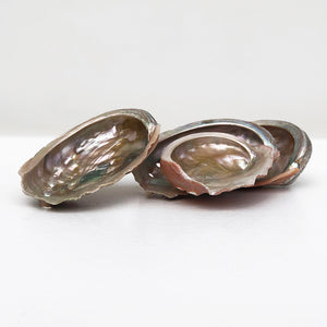 abalone shell  incense burner